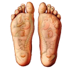foot reflexology